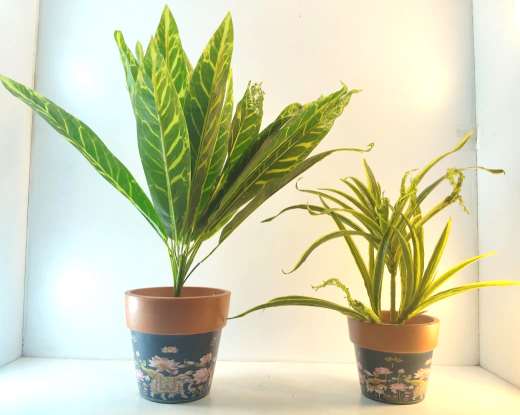 Terracotta planter set 3036