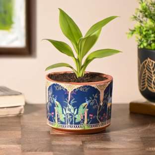 Terracotta planter 3052