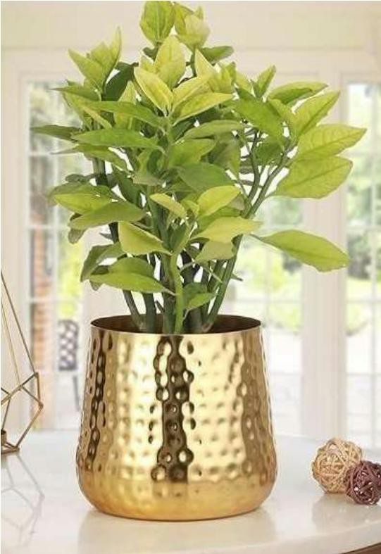 Metal table pot in plating brass copper 1726, image 2 of 2
