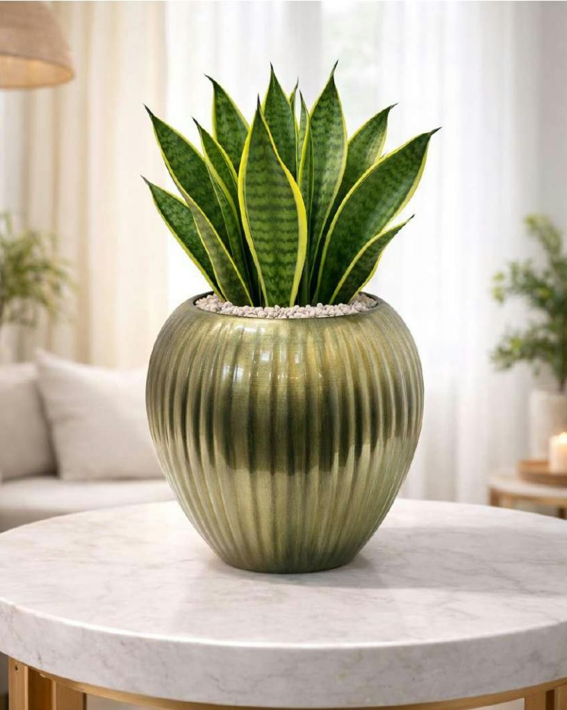 Metal vase pot in antique 1741