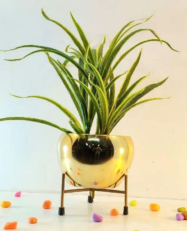 Iron pot with stand in plating gp-1 cp-1 GP-1-, image 2 of 2