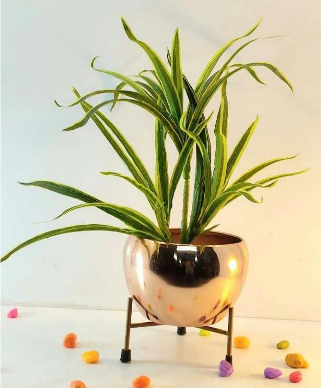 Iron pot with stand in plating gp-1 cp-1 GP-1-