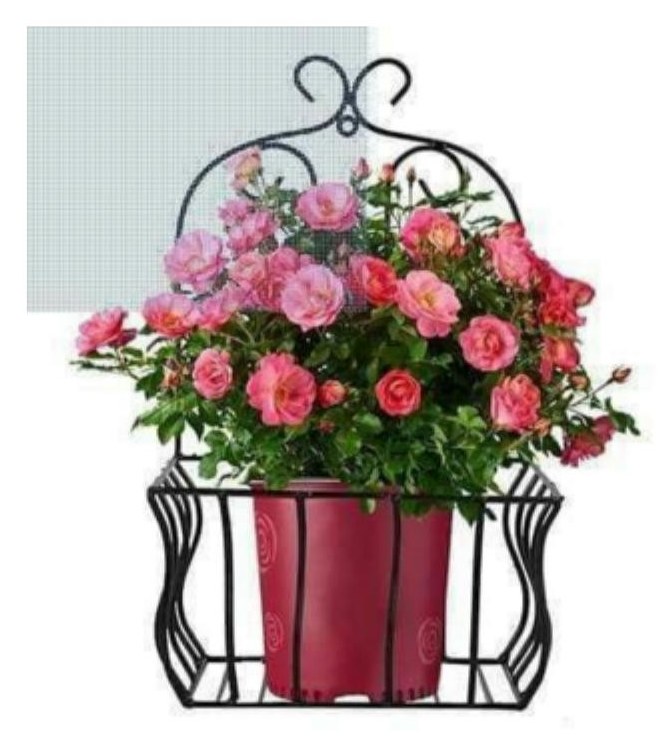 Hanging plant hanger 1738