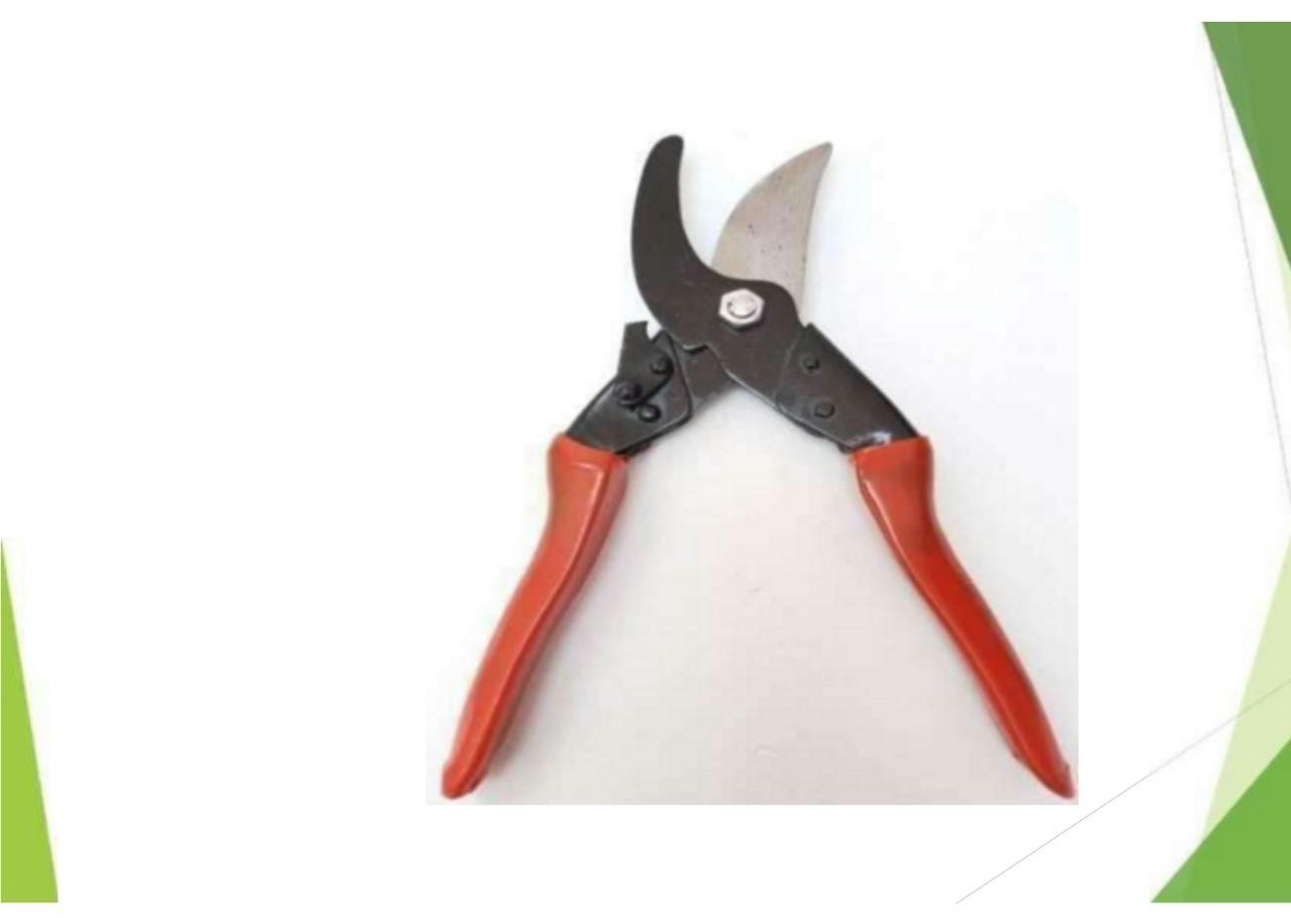 Pruning secateur garden tool 1281
