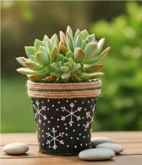 Rubber planter 1229CD, image 2 of 2