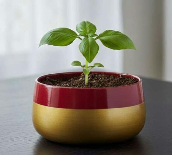 Iron handi pot 1333A