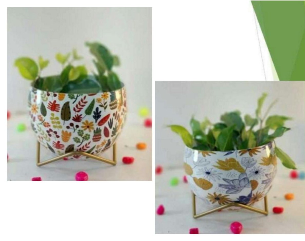 Lavender pots 1321C
