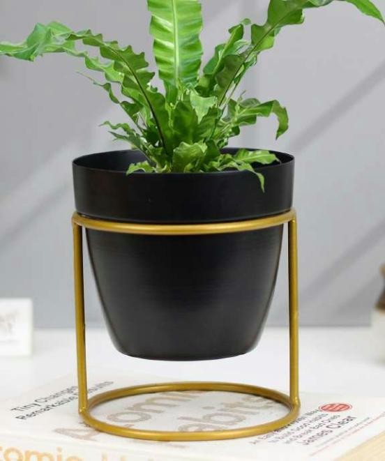 Small pot with golden stand 1301A