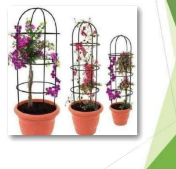 Plant supporter without pot 1193ABC