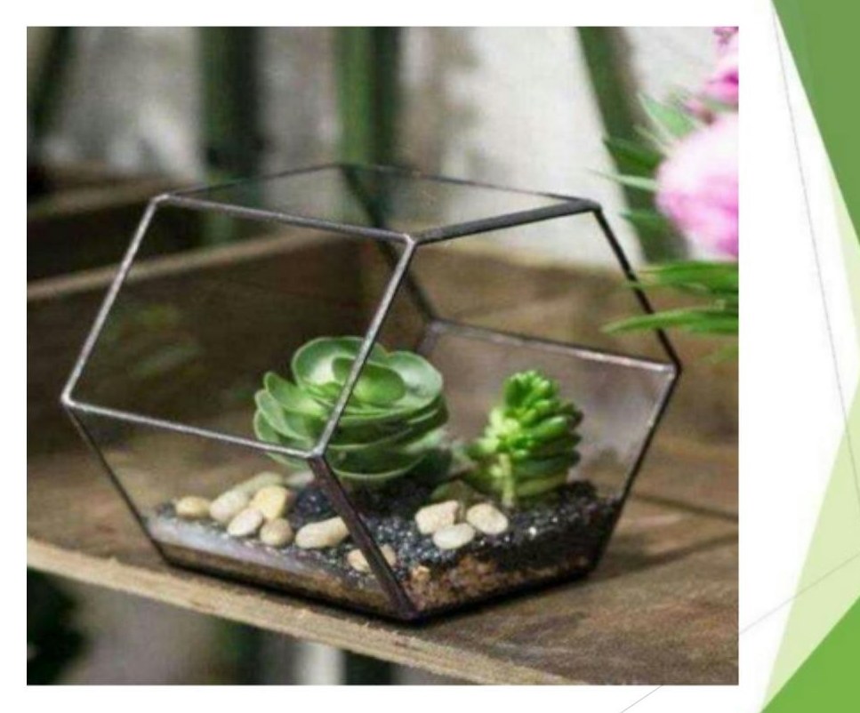Table top terrarium 1370