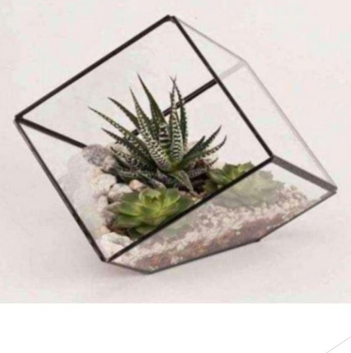 Geometric terrarium 1218